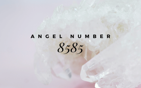 8585 car number